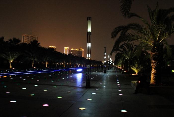 城市公园庭院香蕉视频最新网址夜景效果照片